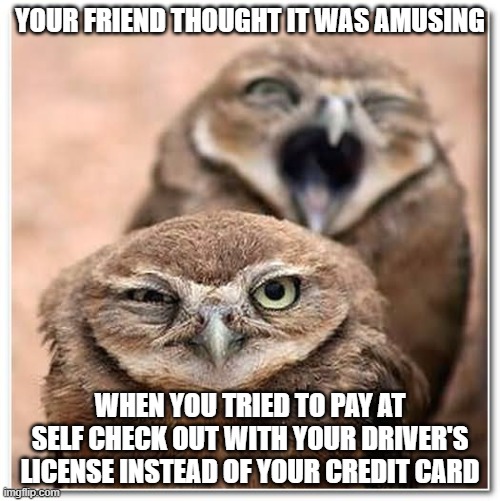 Not funny | YOUR FRIEND THOUGHT IT WAS AMUSING; WHEN YOU TRIED TO PAY AT SELF CHECK OUT WITH YOUR DRIVER'S LICENSE INSTEAD OF YOUR CREDIT CARD | image tagged in not funny | made w/ Imgflip meme maker