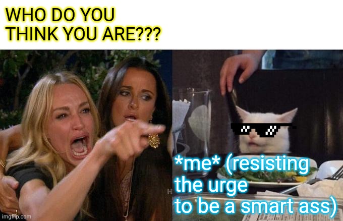 Woman Yelling At Cat | WHO DO YOU THINK YOU ARE??? *me* (resisting the urge to be a smart ass) | image tagged in memes,woman yelling at cat | made w/ Imgflip meme maker