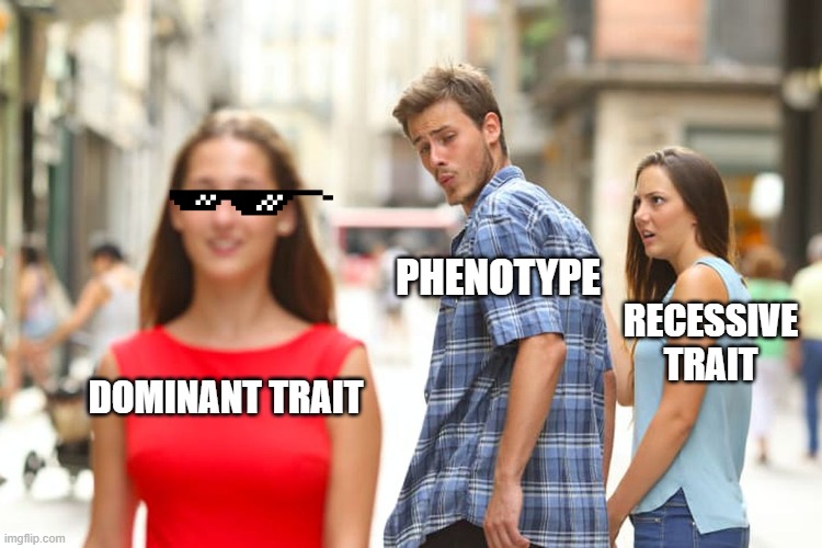 Science class meme | PHENOTYPE; RECESSIVE TRAIT; DOMINANT TRAIT | image tagged in memes,distracted boyfriend,science | made w/ Imgflip meme maker