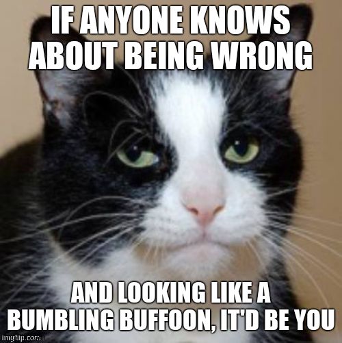 Too much cat | IF ANYONE KNOWS ABOUT BEING WRONG AND LOOKING LIKE A BUMBLING BUFFOON, IT'D BE YOU | image tagged in too much cat | made w/ Imgflip meme maker