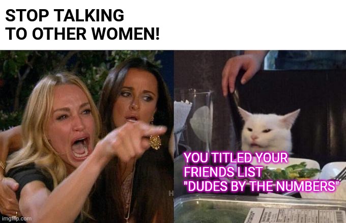 Woman Yelling At Cat Meme | STOP TALKING TO OTHER WOMEN! YOU TITLED YOUR FRIENDS LIST "DUDES BY THE NUMBERS" | image tagged in memes,woman yelling at cat | made w/ Imgflip meme maker
