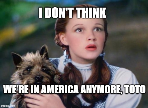 Toto Wizard of Oz | I DON'T THINK; WE'RE IN AMERICA ANYMORE, TOTO | image tagged in toto wizard of oz | made w/ Imgflip meme maker