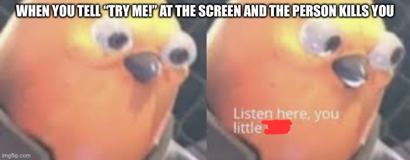 Listen here you little shit bird | WHEN YOU TELL “TRY ME!” AT THE SCREEN AND THE PERSON KILLS YOU | image tagged in listen here you little shit bird | made w/ Imgflip meme maker