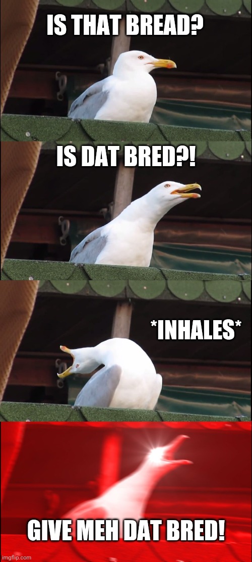 Inhaling Seagull Meme | IS THAT BREAD? IS DAT BRED?! *INHALES*; GIVE MEH DAT BRED! | image tagged in memes,inhaling seagull | made w/ Imgflip meme maker