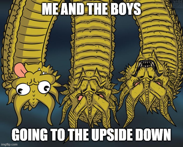 Three-headed Dragon | ME AND THE BOYS; GOING TO THE UPSIDE DOWN | image tagged in three-headed dragon | made w/ Imgflip meme maker