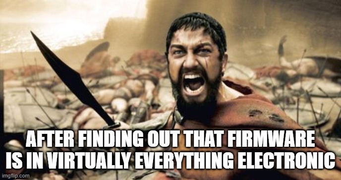 Sparta Leonidas | AFTER FINDING OUT THAT FIRMWARE IS IN VIRTUALLY EVERYTHING ELECTRONIC | image tagged in memes,sparta leonidas | made w/ Imgflip meme maker