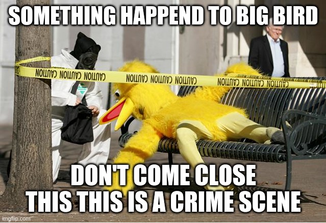 First Day of Cool | SOMETHING HAPPEND TO BIG BIRD; DON'T COME CLOSE THIS THIS IS A CRIME SCENE | image tagged in first day of cool | made w/ Imgflip meme maker