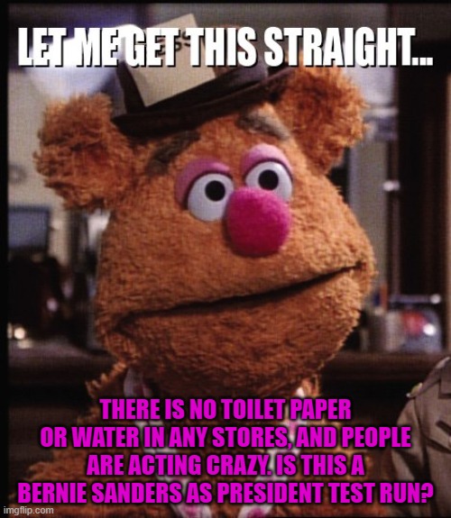 Fozzie Let me Get This Straight | THERE IS NO TOILET PAPER OR WATER IN ANY STORES, AND PEOPLE ARE ACTING CRAZY. IS THIS A BERNIE SANDERS AS PRESIDENT TEST RUN? | image tagged in fozzie let me get this straight,democratic socialism,politics,funny,election 2020 | made w/ Imgflip meme maker