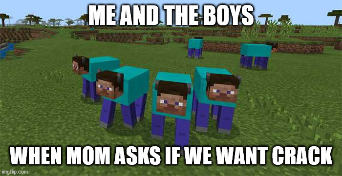 me and the boys | ME AND THE BOYS; WHEN MOM ASKS IF WE WANT CRACK | image tagged in me and the boys | made w/ Imgflip meme maker