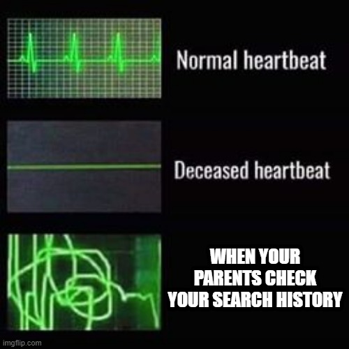 heartbeat rate | WHEN YOUR PARENTS CHECK YOUR SEARCH HISTORY | image tagged in heartbeat rate | made w/ Imgflip meme maker