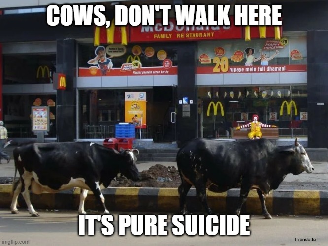 COWS, DON'T WALK HERE; IT'S PURE SUICIDE | image tagged in mcdonalds,cows,suicide,meal | made w/ Imgflip meme maker