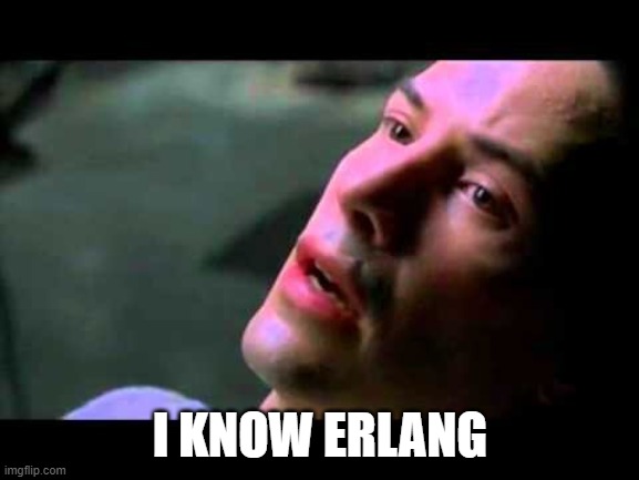 Neo kung fu | I KNOW ERLANG | image tagged in neo kung fu | made w/ Imgflip meme maker