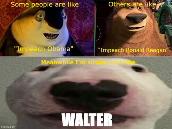 Walter | image tagged in walter,funny | made w/ Imgflip meme maker