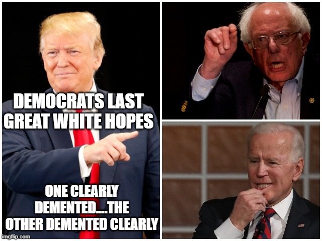 politics | DEMOCRATS LAST GREAT WHITE HOPES; ONE CLEARLY DEMENTED....THE OTHER DEMENTED CLEARLY | image tagged in political meme | made w/ Imgflip meme maker