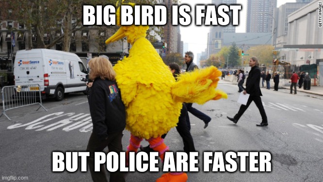 big bird | BIG BIRD IS FAST; BUT POLICE ARE FASTER | image tagged in funny memes | made w/ Imgflip meme maker
