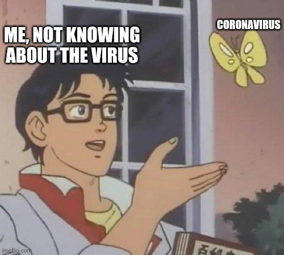 when you don't know about the coronavirus | CORONAVIRUS; ME, NOT KNOWING ABOUT THE VIRUS | image tagged in memes,is this a pigeon | made w/ Imgflip meme maker