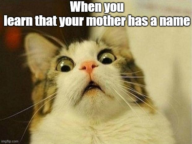 Scared Cat | When you learn that your mother has a name | image tagged in memes,scared cat | made w/ Imgflip meme maker