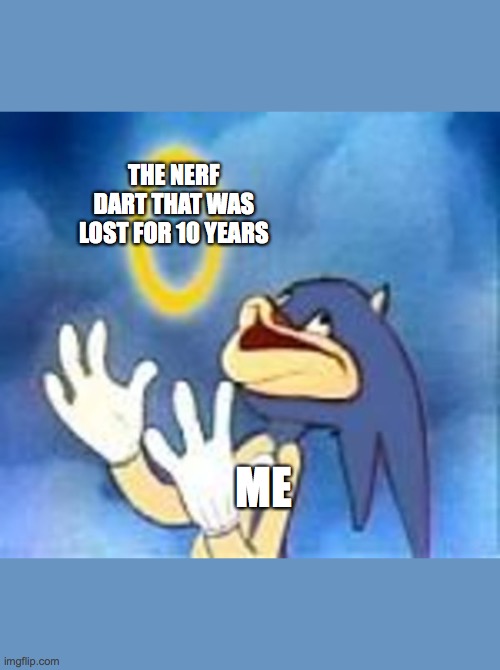 Joyful Sonic | THE NERF DART THAT WAS LOST FOR 10 YEARS; ME | image tagged in joyful sonic | made w/ Imgflip meme maker