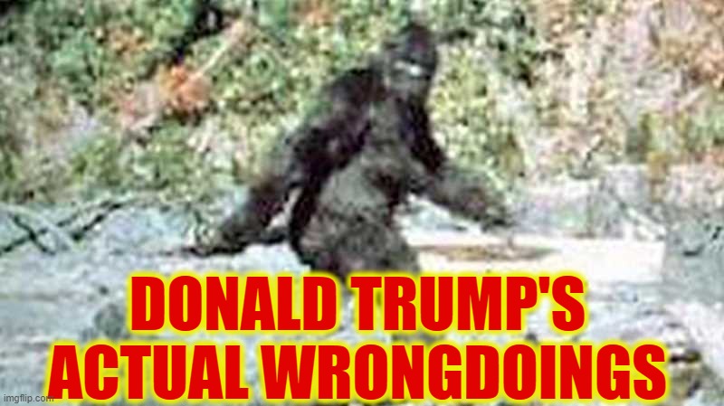 As Real As This | DONALD TRUMP'S ACTUAL WRONGDOINGS | image tagged in funny,funny memes,memes,mxm | made w/ Imgflip meme maker