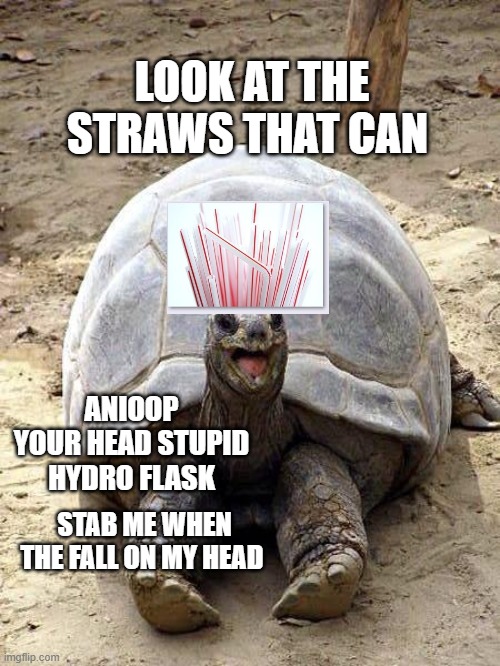 Smiling happy excited tortoise | LOOK AT THE STRAWS THAT CAN; ANIOOP YOUR HEAD STUPID HYDRO FLASK; STAB ME WHEN THE FALL ON MY HEAD | image tagged in smiling happy excited tortoise | made w/ Imgflip meme maker