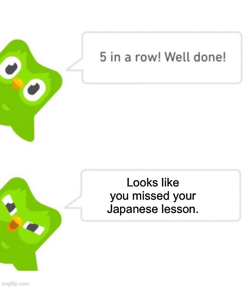 Duolingo 5 in a row | Looks like you missed your Japanese lesson. | image tagged in duolingo 5 in a row | made w/ Imgflip meme maker