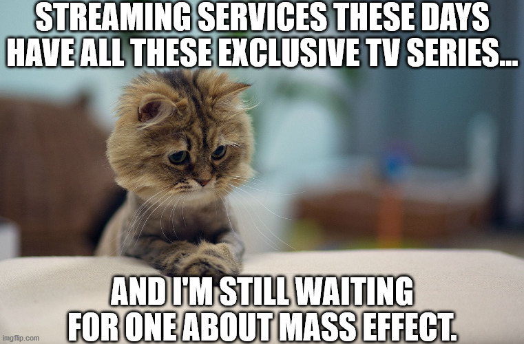 Still Waiting For A Mass Effect Series |  STREAMING SERVICES THESE DAYS HAVE ALL THESE EXCLUSIVE TV SERIES... AND I'M STILL WAITING FOR ONE ABOUT MASS EFFECT. | image tagged in mass effect,faerodyn,tv,series,streaming | made w/ Imgflip meme maker