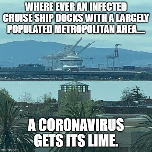 WHERE EVER AN INFECTED CRUISE SHIP DOCKS WITH A LARGELY POPULATED METROPOLITAN AREA.... A CORONAVIRUS GETS ITS LIME. | image tagged in coronavirus | made w/ Imgflip meme maker