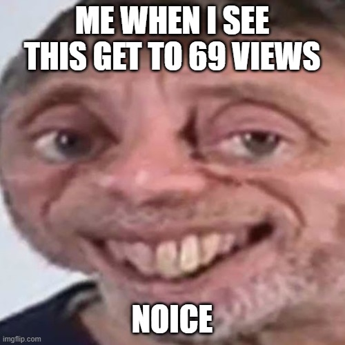Noice | ME WHEN I SEE THIS GET TO 69 VIEWS NOICE | image tagged in noice | made w/ Imgflip meme maker