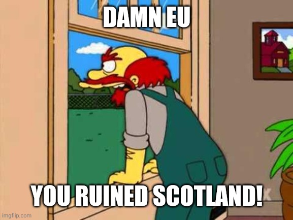 Simpsons Scotland | DAMN EU YOU RUINED SCOTLAND! | image tagged in simpsons scotland | made w/ Imgflip meme maker