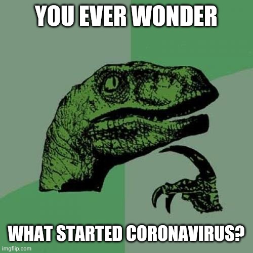 Philosoraptor | YOU EVER WONDER; WHAT STARTED CORONAVIRUS? | image tagged in memes,philosoraptor | made w/ Imgflip meme maker