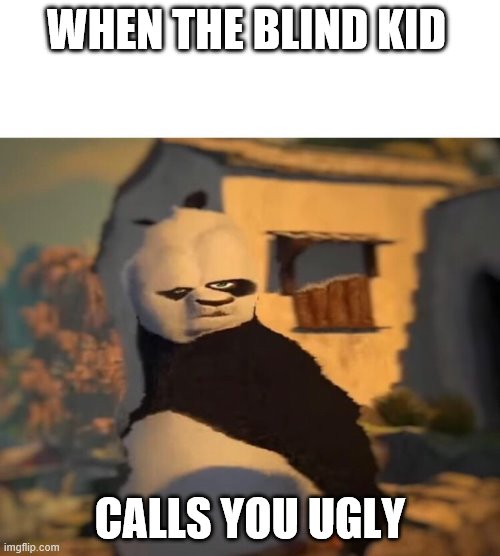 Drunk Kung Fu Panda | WHEN THE BLIND KID; CALLS YOU UGLY | image tagged in drunk kung fu panda | made w/ Imgflip meme maker