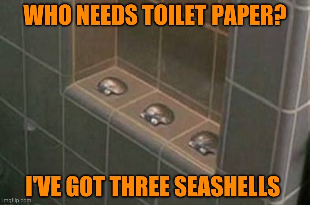 Three seashells | WHO NEEDS TOILET PAPER? I'VE GOT THREE SEASHELLS | image tagged in funny toilet paper,funny three seashells,hoarding | made w/ Imgflip meme maker