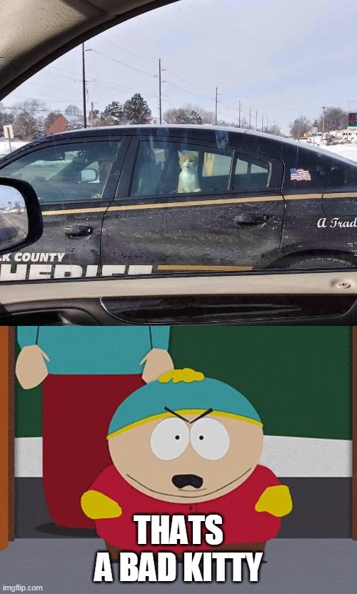 bad kitty | THATS A BAD KITTY | image tagged in kick in the nuts cartman,bad kitty | made w/ Imgflip meme maker