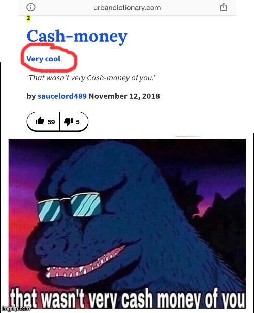 When they ignore very recent etymology, aka slang | image tagged in that wasnt very cash money,cash,slang,urban dictionary,dictionary,definition | made w/ Imgflip meme maker