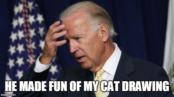 Joe Biden worries | HE MADE FUN OF MY CAT DRAWING | image tagged in joe biden worries | made w/ Imgflip meme maker