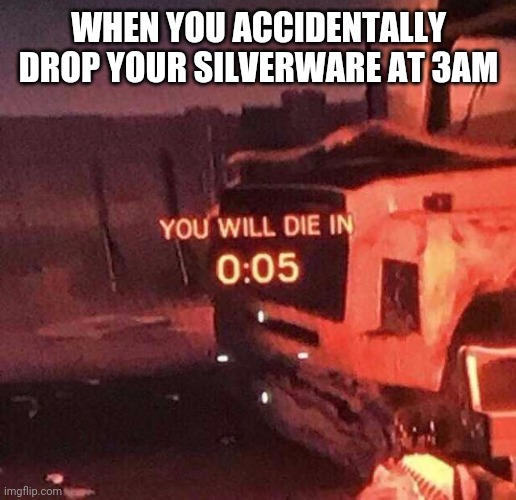 You will die in 0:05 | WHEN YOU ACCIDENTALLY DROP YOUR SILVERWARE AT 3AM | image tagged in you will die in 005 | made w/ Imgflip meme maker