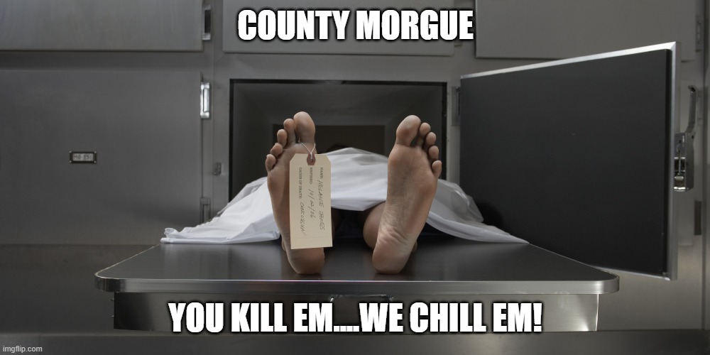 Morgue feet | COUNTY MORGUE YOU KILL EM....WE CHILL EM! | image tagged in morgue feet | made w/ Imgflip meme maker