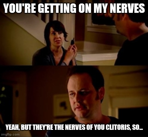 Wife phone guy so | YOU'RE GETTING ON MY NERVES; YEAH, BUT THEY'RE THE NERVES OF YOU CLITORIS, SO... | image tagged in wife phone guy so | made w/ Imgflip meme maker