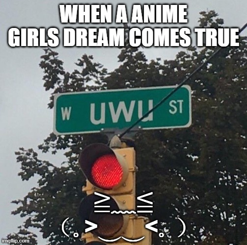 uwu street | WHEN A ANIME GIRLS DREAM COMES TRUE; ≧﹏≦
（｡>‿‿<｡ ） | image tagged in uwu street | made w/ Imgflip meme maker