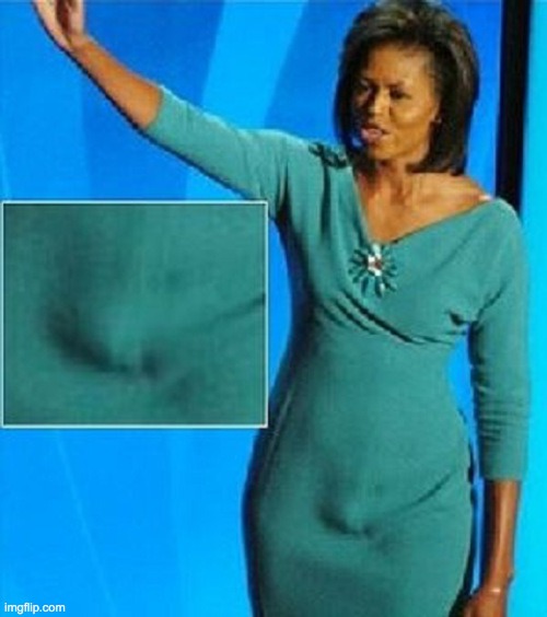 Michelle Obama Has a Penis | image tagged in michelle obama has a penis | made w/ Imgflip meme maker