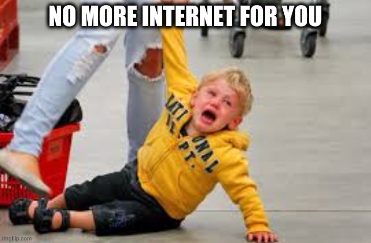 Tantrum store | NO MORE INTERNET FOR YOU | image tagged in tantrum store | made w/ Imgflip meme maker