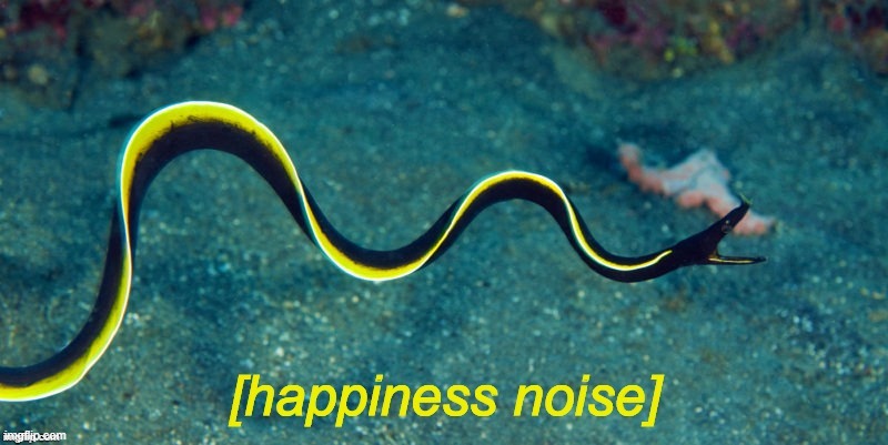 Happiness Noise Eel | image tagged in happiness noise eel | made w/ Imgflip meme maker