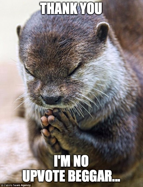 Thank you Lord Otter | THANK YOU I'M NO UPVOTE BEGGAR... | image tagged in thank you lord otter | made w/ Imgflip meme maker