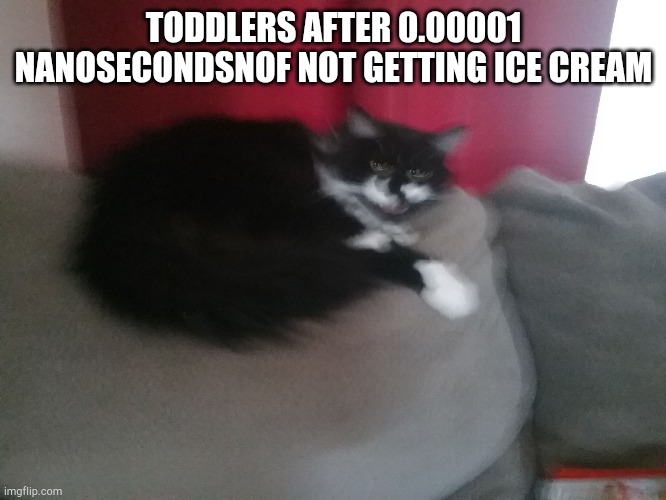 Angery Cat | TODDLERS AFTER 0.00001 NANOSECONDSNOF NOT GETTING ICE CREAM | image tagged in angery cat | made w/ Imgflip meme maker