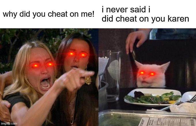 Woman Yelling At Cat Meme | why did you cheat on me! i never said i did cheat on you karen | image tagged in memes,woman yelling at cat | made w/ Imgflip meme maker