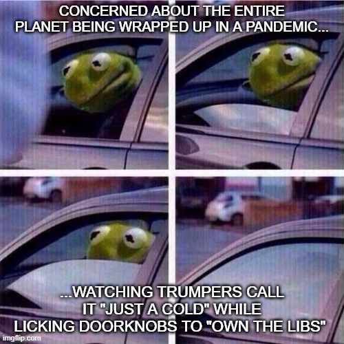 kermit rolls up window | CONCERNED ABOUT THE ENTIRE PLANET BEING WRAPPED UP IN A PANDEMIC... ...WATCHING TRUMPERS CALL IT "JUST A COLD" WHILE LICKING DOORKNOBS TO "OWN THE LIBS" | image tagged in kermit rolls up window | made w/ Imgflip meme maker