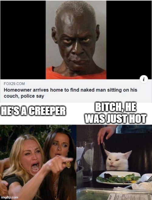 Couch Guy | BITCH, HE WAS JUST HOT; HE'S A CREEPER | image tagged in naked couch guy,memes,woman yelling at cat | made w/ Imgflip meme maker