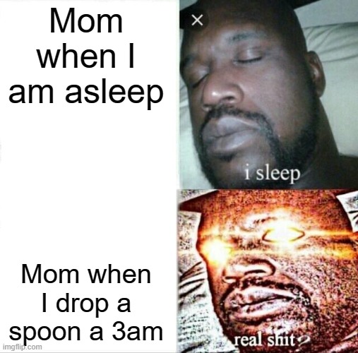 Sleeping Shaq | Mom when I am asleep; Mom when I drop a spoon a 3am | image tagged in memes,sleeping shaq | made w/ Imgflip meme maker