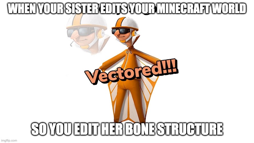 GET VECTERED! | WHEN YOUR SISTER EDITS YOUR MINECRAFT WORLD; SO YOU EDIT HER BONE STRUCTURE | image tagged in get vectered | made w/ Imgflip meme maker