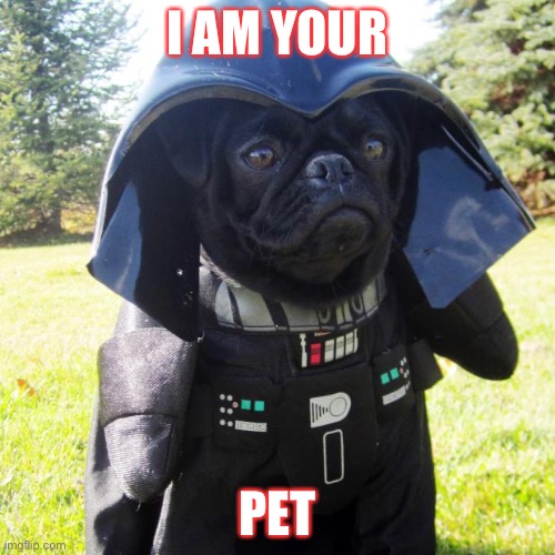 Darth Pug | I AM YOUR; PET | image tagged in darth pug | made w/ Imgflip meme maker